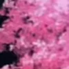 🌸 Эмодзи «Animated» для Telegram