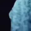 🦈 Эмодзи «Animated» для Telegram