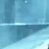 🗡️ Эмодзи «Animated» для Telegram