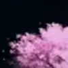 🌸 Эмодзи «Animated» для Telegram