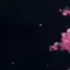 🌸 Эмодзи «Animated» для Telegram