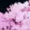 🌸 Эмодзи «Animated» для Telegram