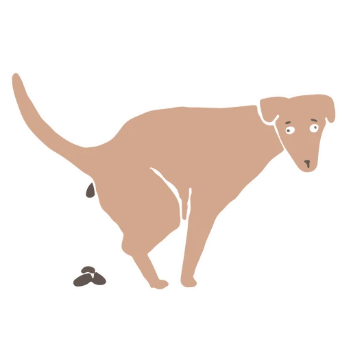 🙈 Стикер «Animated Animals part 2» для Telegram