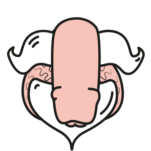 🍌 Стикер «Animated dicks» для Telegram