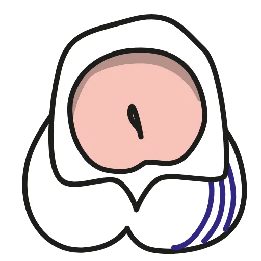 🍆 Стикер «Animated dicks» для Telegram