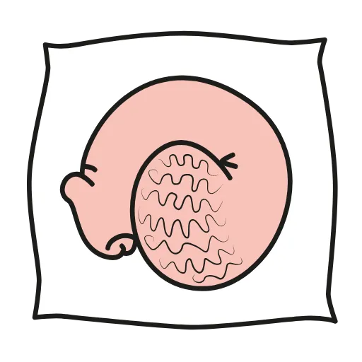 😺 Стикер «Animated dicks» для Telegram
