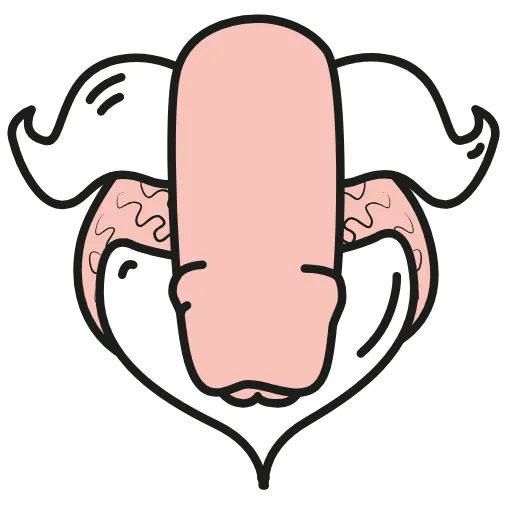 🍌 Стикер «Animated dicks» для Telegram