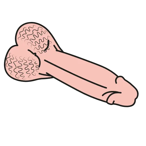 🖕 Стикер «Animated dicks» для Telegram