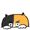 🐱 Эмодзи «Animated Ehcat» для Telegram