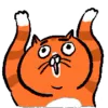 🐱 Эмодзи «Animated Ehcat» для Telegram