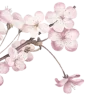 🤩 Эмодзи «Asian Heaven» для Telegram