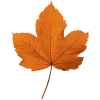 🍂 Эмодзи «Осень» для Telegram