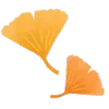 🍁 Эмодзи «𝖠𝗎𝗍𝗎𝗆𝗇» для Telegram