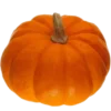🛏 Эмодзи «Fall Season» для Telegram