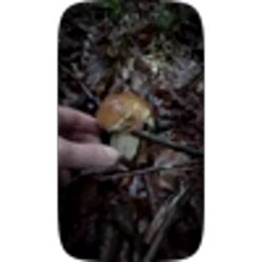 🎃 Эмодзи «Autumn» для Telegram