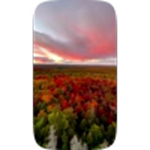 🎃 Эмодзи «Autumn» для Telegram