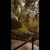🎃 Эмодзи «Autumn» для Telegram