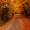 🎃 Эмодзи «Autumn» для Telegram