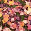 🎃 Эмодзи «Autumn» для Telegram