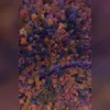 🎃 Эмодзи «Autumn» для Telegram