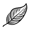 🍂 Эмодзи «I Autumn Wardrobe» для Telegram