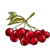 🍓 Эмодзи «🌟 autumn - осень» для Telegram