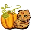 🎃 Эмодзи «🌟 autumn - осень» для Telegram