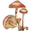 🍁 Эмодзи «Закажи Эмодзи У» для Telegram