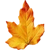 🍁 Эмодзи «Закажи Эмодзи У» для Telegram