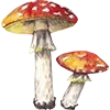 🍁 Эмодзи «Закажи Эмодзи У» для Telegram