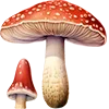 🍁 Эмодзи «Закажи Эмодзи У» для Telegram