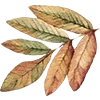 🍁 Эмодзи «Закажи Эмодзи У» для Telegram
