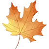 🍁 Эмодзи «Закажи Эмодзи У» для Telegram