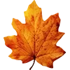 🍁 Эмодзи «Закажи Эмодзи У» для Telegram