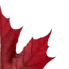 🍁 Эмодзи «🦌🦌 Осень» для Telegram
