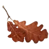 🍂 Эмодзи «🦌🦌 Осень» для Telegram