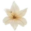 🌼 Эмодзи «🦌🦌 Осень» для Telegram