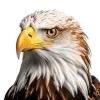 🦅 Эмодзи «Птички» для Telegram