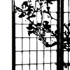🍙 Эмодзи «黒 𛃂𝑙𝑎𝑐𝑘 𖹅𝑎𝑝𝑎𝑛» для Telegram