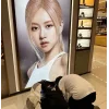 🤩 Эмодзи «BLACKPINK» для Telegram