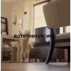 🤩 Эмодзи «Бум» для Telegram
