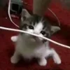 🤩 Эмодзи «Бум» для Telegram