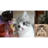 🤩 Эмодзи «Бум» для Telegram