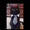 🤩 Эмодзи «Бум» для Telegram