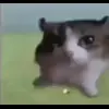 🤩 Эмодзи «Бум» для Telegram