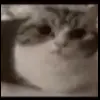 🤩 Эмодзи «Бум» для Telegram