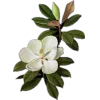 🤩 Эмодзи «‍ Бай Чжу из Геншина» для Telegram