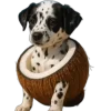 🐕 Эмодзи «Brainrot2Emoji» для Telegram