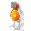 🦜 Эмодзи «Brainrot2Emoji» для Telegram