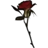 🌹 Эмодзи «𝙱𝚕𝚊𝚌𝚔 𝚁𝚎𝚍» для Telegram
